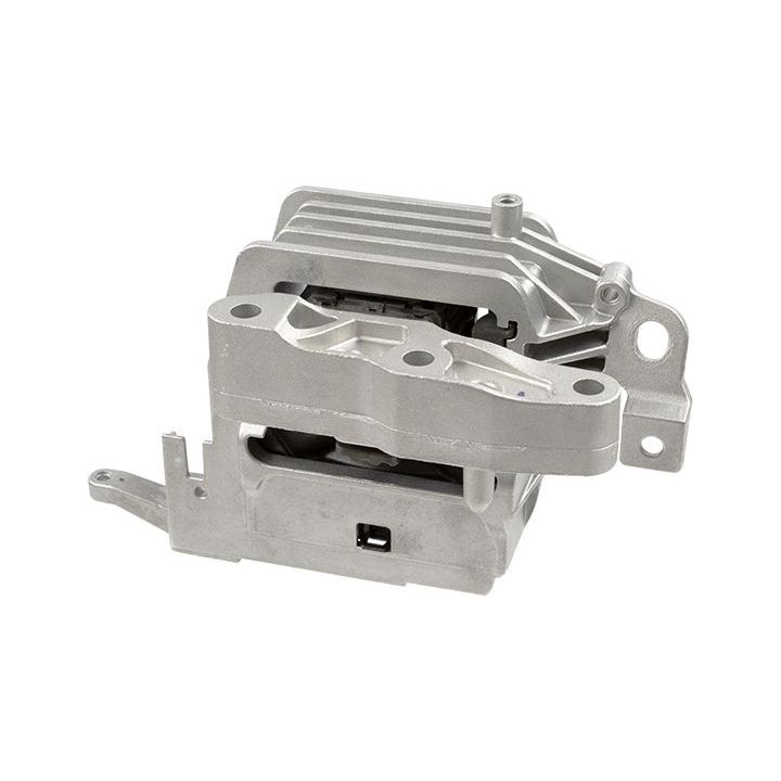 Variklio montavimas LEMFÖRDER 42676 01