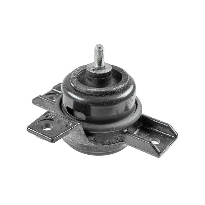 Variklio montavimas LEMFÖRDER 42737 01