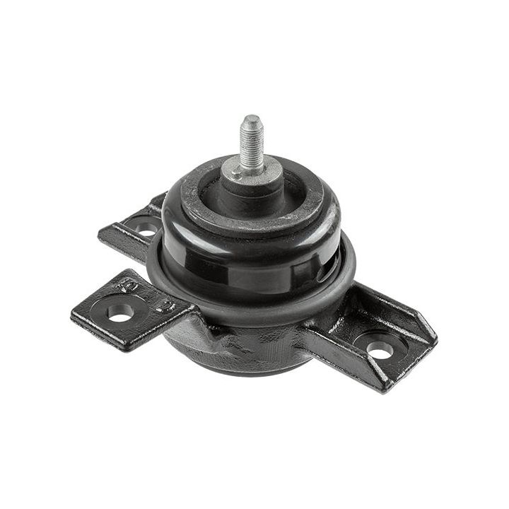 Variklio montavimas LEMFÖRDER 42738 01