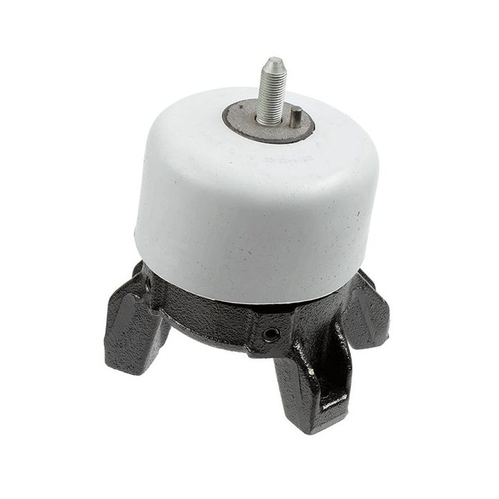 Variklio montavimas LEMFÖRDER 42872 01