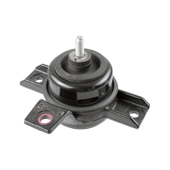 Variklio montavimas LEMFÖRDER 43012 01