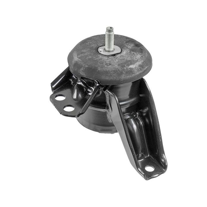 Variklio montavimas LEMFÖRDER 43054 01