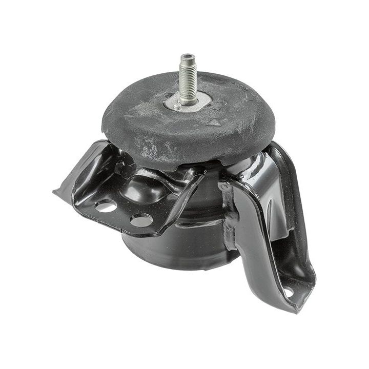 Variklio montavimas LEMFÖRDER 43056 01