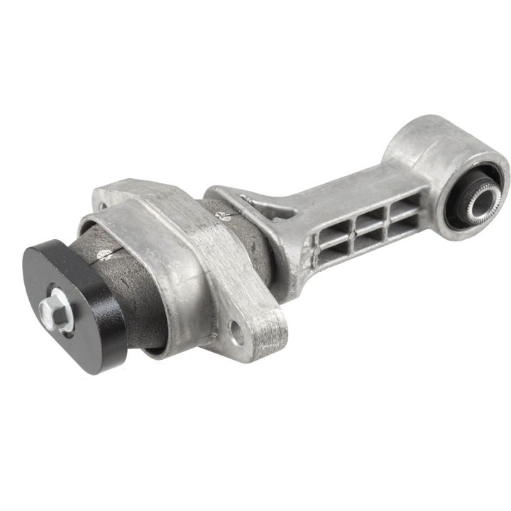 Variklio montavimas LEMFÖRDER 43061 01