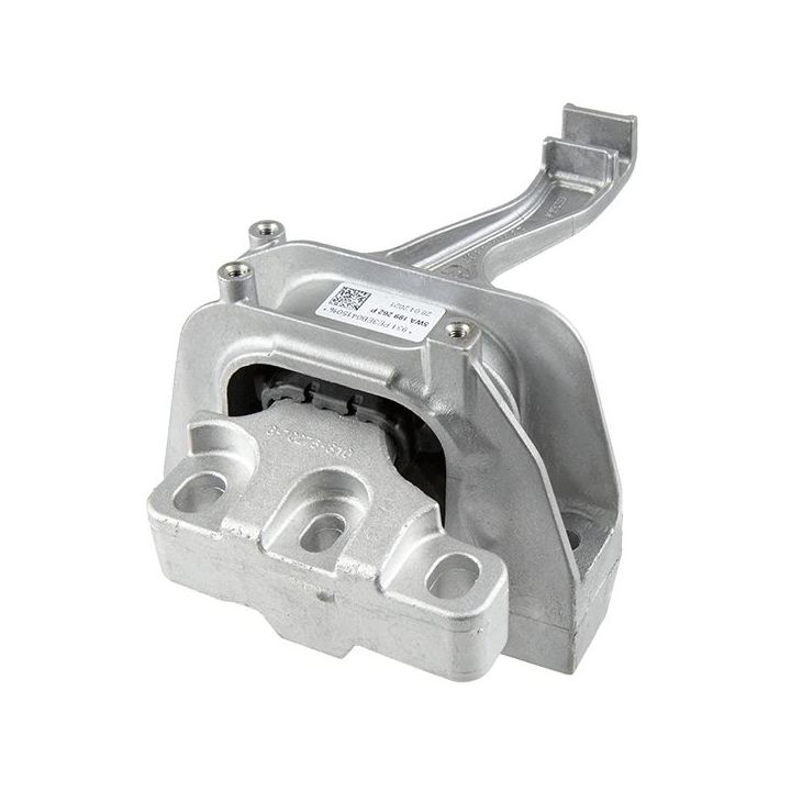 Variklio montavimas LEMFÖRDER 43424 01