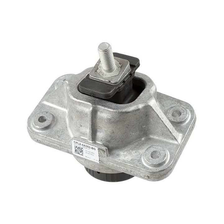 Variklio montavimas LEMFÖRDER 43426 01