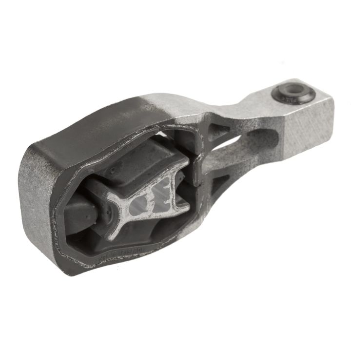 Variklio montavimas LEMFÖRDER 44061 01