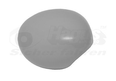 Dangtelis, išorinis veidrodėlis VAN WEZEL 0518844