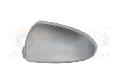 Dangtelis, išorinis veidrodėlis VAN WEZEL 2911843