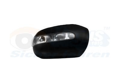 Dangtelis, išorinis veidrodėlis VAN WEZEL 3037841