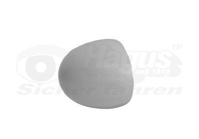 Dangtelis, išorinis veidrodėlis VAN WEZEL 4343844