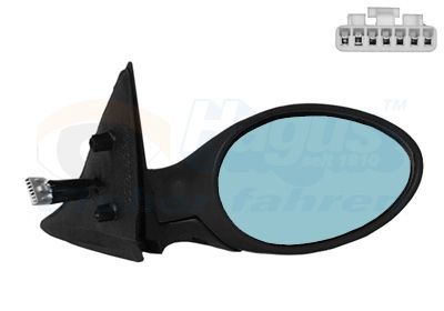 Išorinis veidrodėlis VAN WEZEL 0156808