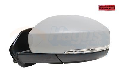 Išorinis veidrodėlis VAN WEZEL 0258807