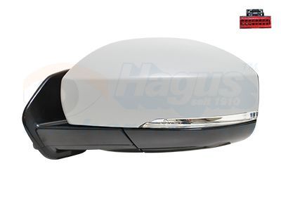 Išorinis veidrodėlis VAN WEZEL 0258827