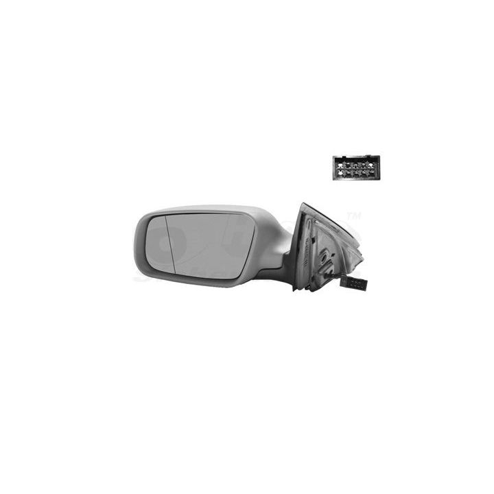 Išorinis veidrodėlis VAN WEZEL 0317807