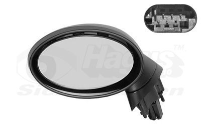 Išorinis veidrodėlis VAN WEZEL 0502807