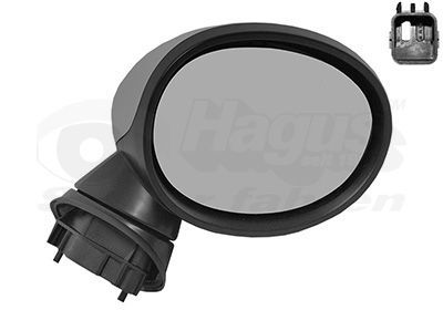 Išorinis veidrodėlis VAN WEZEL 0518828