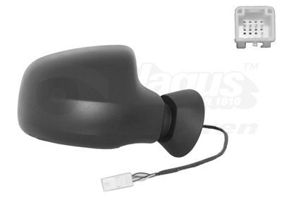 Išorinis veidrodėlis VAN WEZEL 1516808