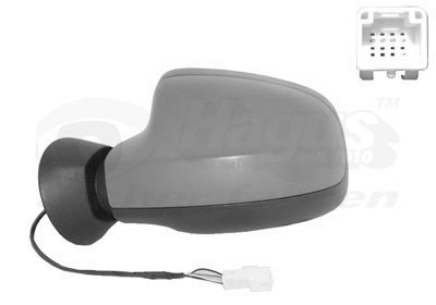 Išorinis veidrodėlis VAN WEZEL 1516817