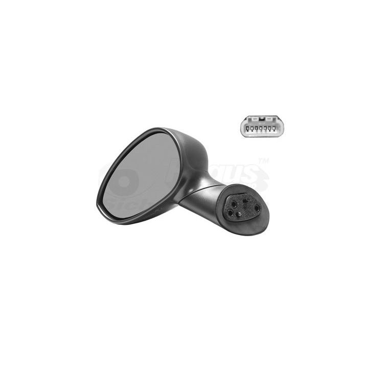 Išorinis veidrodėlis VAN WEZEL 1604805