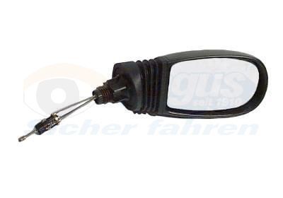 Išorinis veidrodėlis VAN WEZEL 1620804