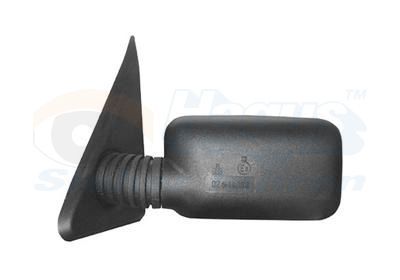 Išorinis veidrodėlis VAN WEZEL 1708802