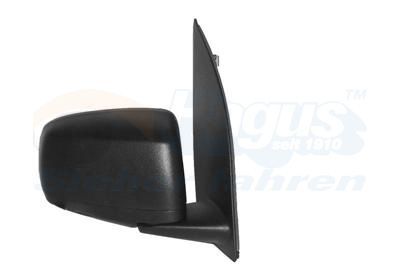 Išorinis veidrodėlis VAN WEZEL 1709801