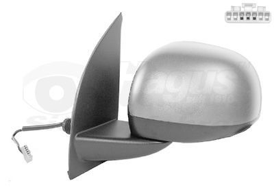 Išorinis veidrodėlis VAN WEZEL 1711817