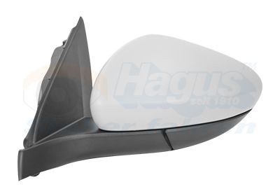 Išorinis veidrodėlis VAN WEZEL 1717807