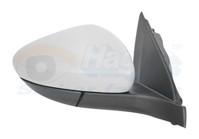 Išorinis veidrodėlis VAN WEZEL 1717808