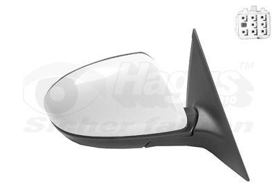 Išorinis veidrodėlis VAN WEZEL 2756828