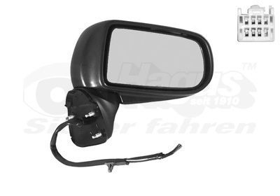 Išorinis veidrodėlis VAN WEZEL 2760808