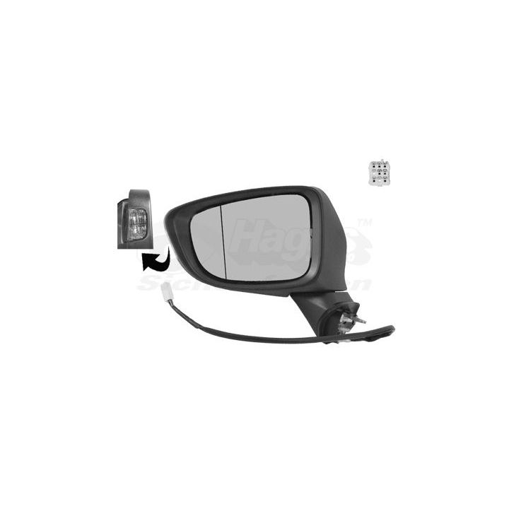 Išorinis veidrodėlis VAN WEZEL 2766807