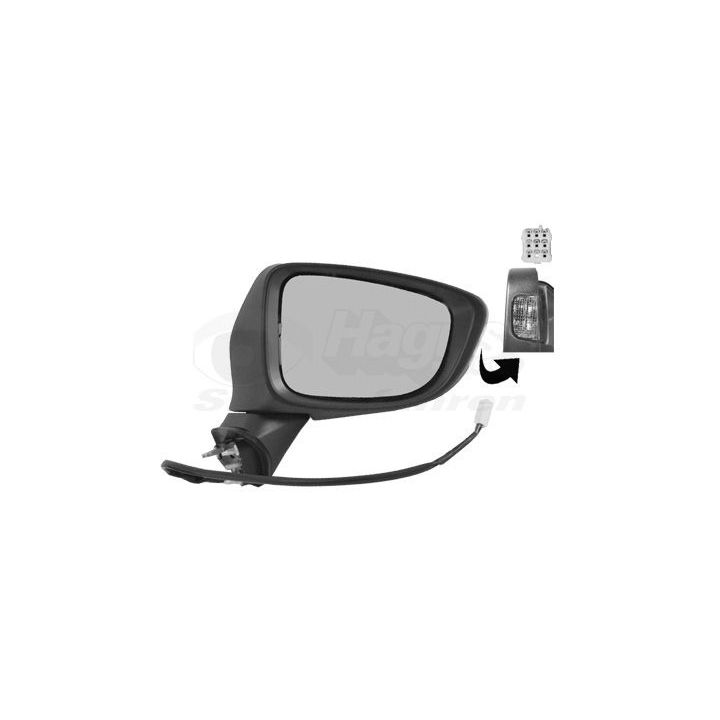 Išorinis veidrodėlis VAN WEZEL 2766818