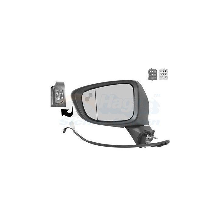 Išorinis veidrodėlis VAN WEZEL 2766827