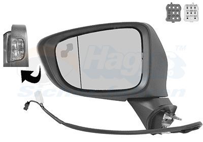 Išorinis veidrodėlis VAN WEZEL 2766827