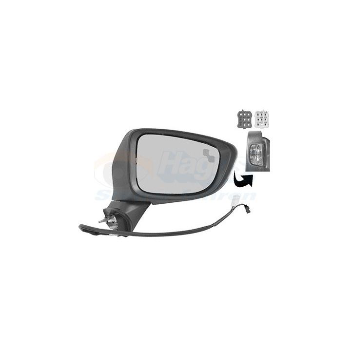 Išorinis veidrodėlis VAN WEZEL 2766828