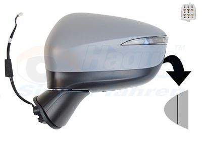 Išorinis veidrodėlis VAN WEZEL 2791827