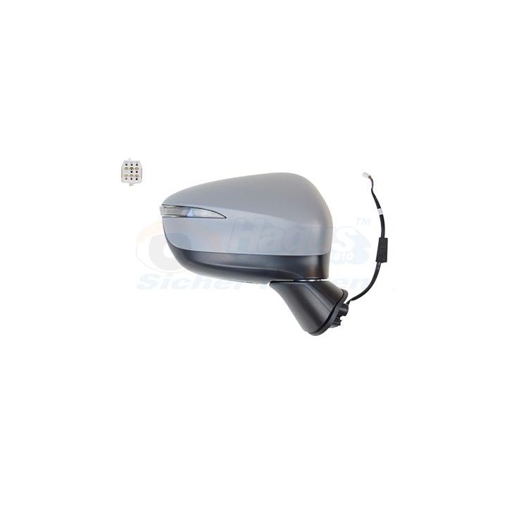 Išorinis veidrodėlis VAN WEZEL 2791828