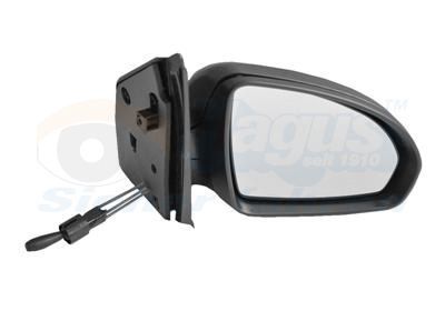 Išorinis veidrodėlis VAN WEZEL 2911804