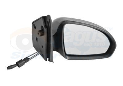 Išorinis veidrodėlis VAN WEZEL 2911814