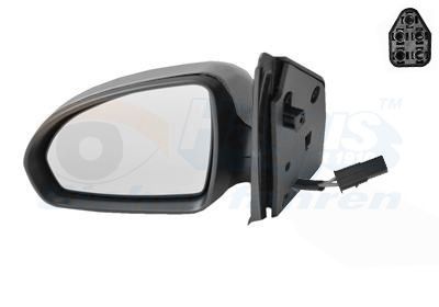 Išorinis veidrodėlis VAN WEZEL 2911817