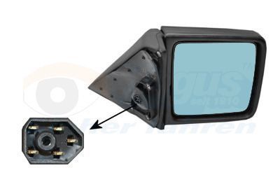 Išorinis veidrodėlis VAN WEZEL 3024808