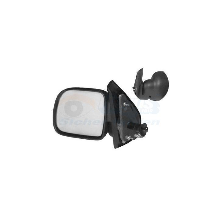 Išorinis veidrodėlis VAN WEZEL 4310803