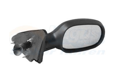 Išorinis veidrodėlis VAN WEZEL 4325804