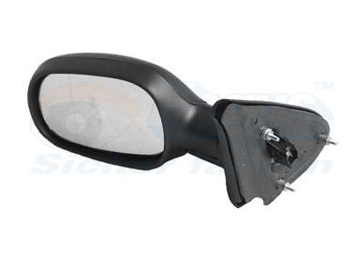 Išorinis veidrodėlis VAN WEZEL 4325807