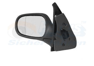 Išorinis veidrodėlis VAN WEZEL 4339807