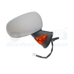 Išorinis veidrodėlis VAN WEZEL 4366818