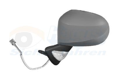 Išorinis veidrodėlis VAN WEZEL 4367807