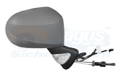 Išorinis veidrodėlis VAN WEZEL 4367814